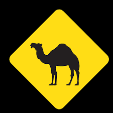 Jobedu Jordan