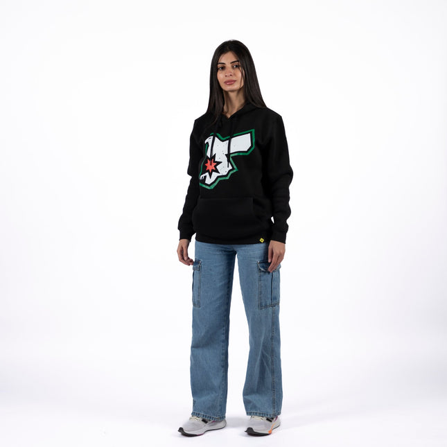 Jordan Falcon | Graphic SuperBasic Premium Hoodies - Graphic SuperBasic Premium Hoodies - Jobedu Jordan