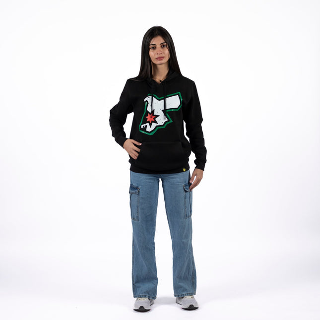 Jordan Falcon | Graphic SuperBasic Premium Hoodies - Graphic SuperBasic Premium Hoodies - Jobedu Jordan