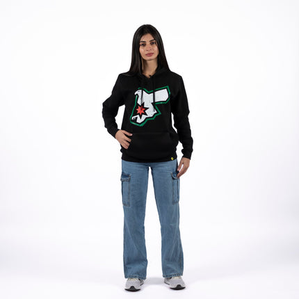 Jordans Falcon | Unisex Adult Hoodie - Graphic Hoodie - Unisex - Jobedu Jordan