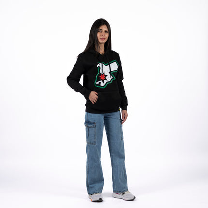 Jordans Falcon | Unisex Adult Hoodie - Graphic Hoodie - Unisex - Jobedu Jordan