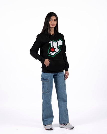Jordans Falcon | Unisex Adult Hoodie - Graphic Hoodie - Unisex - Jobedu Jordan