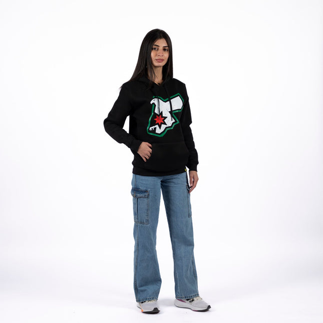 Jordans Falcon | Unisex Adult Hoodie - Graphic Hoodie - Unisex - Jobedu Jordan