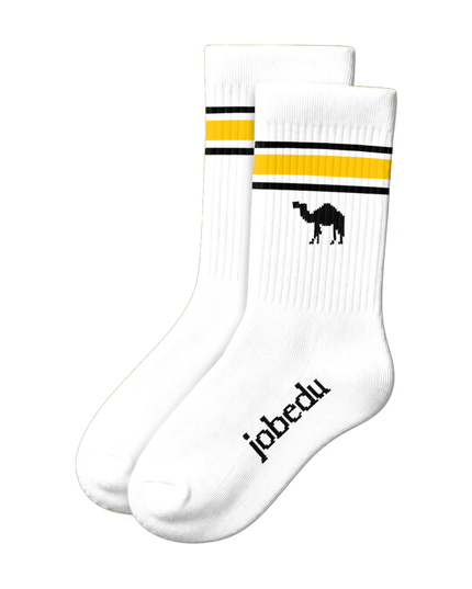 White Socks Stripes | Small - Socks - Jobedu Jordan