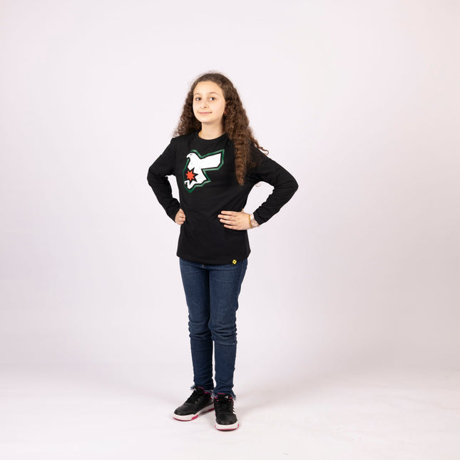 Jordan Falcon | Kids Graphic Longsleeve Tshirt - Kids Graphic Longsleeve Tshirt - Jobedu Jordan