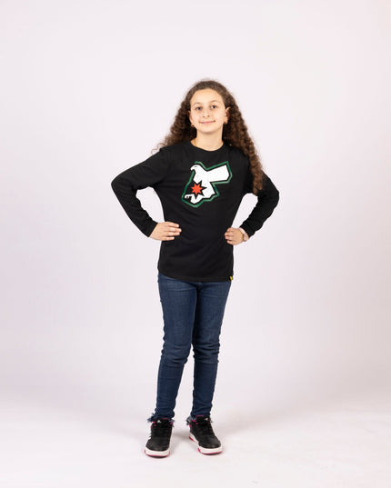 Jordan Falcon | Kids Graphic Longsleeve Tshirt - Kids Graphic Longsleeve Tshirt - Jobedu Jordan